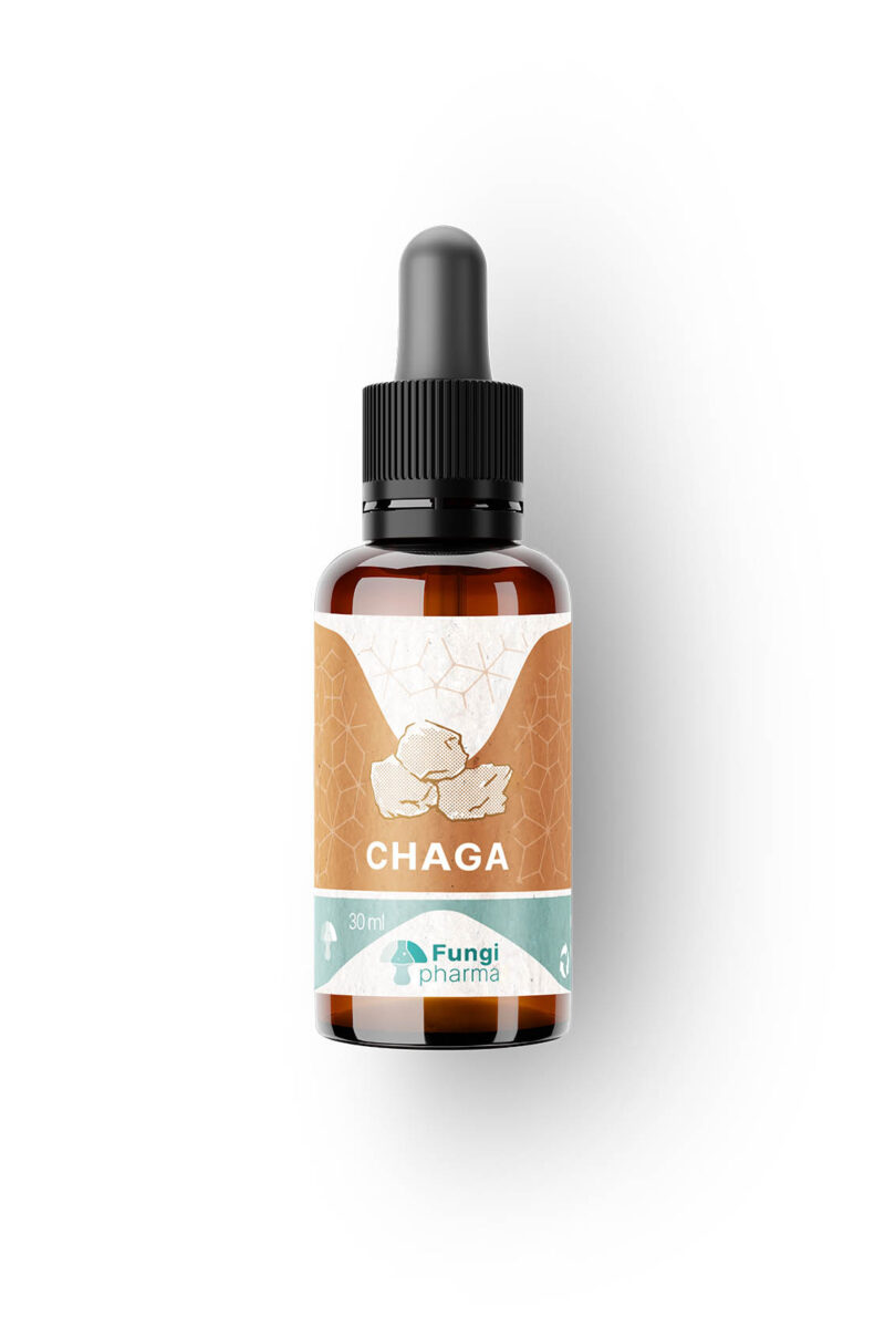 Chaga