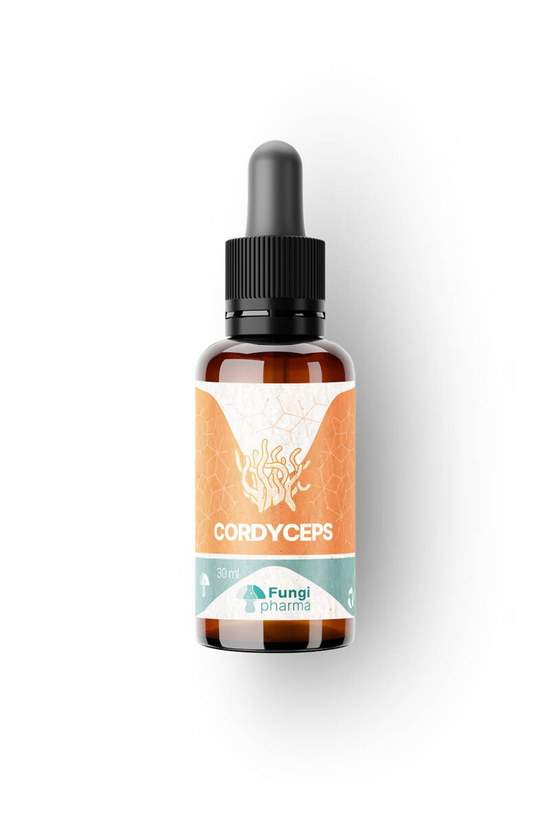 Cordyceps
