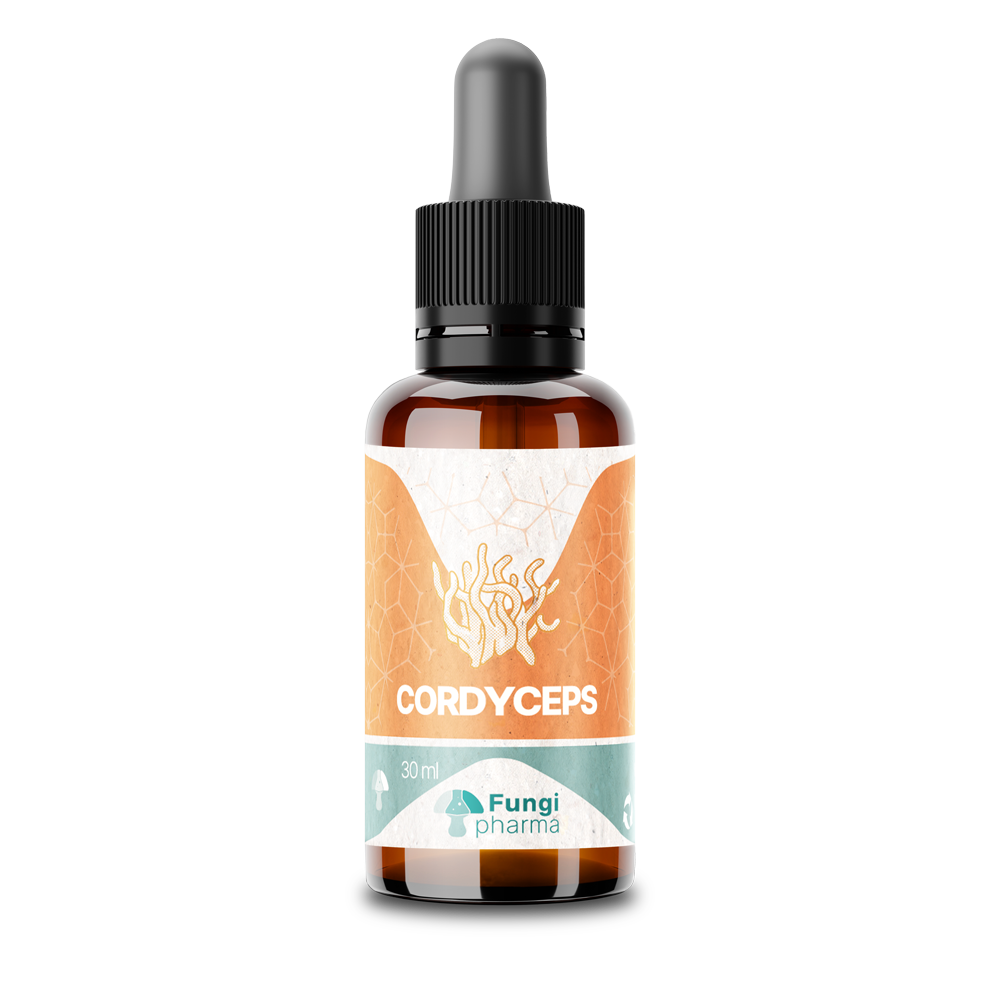 Producto cordyceps militaris