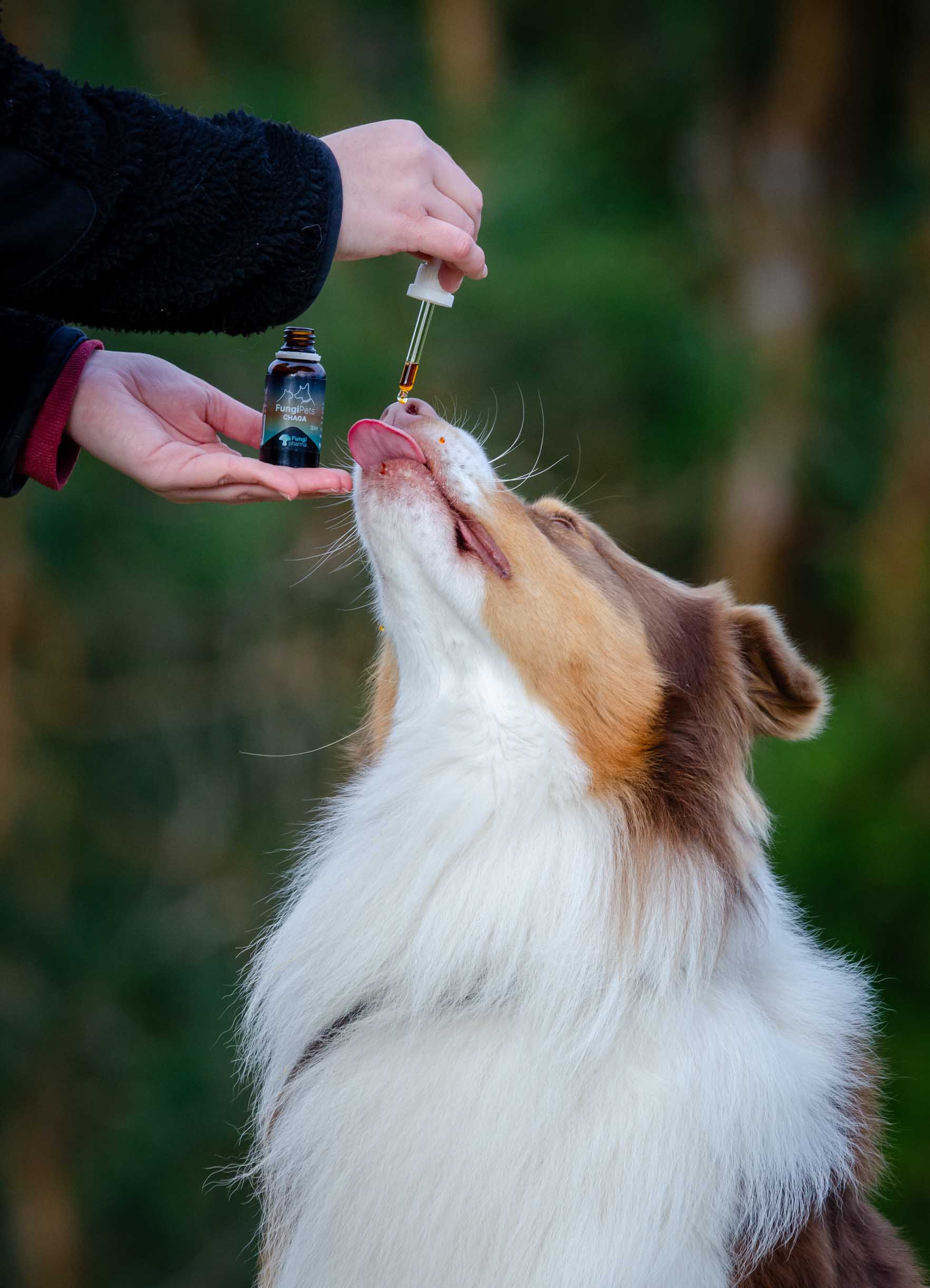 Producto para animales